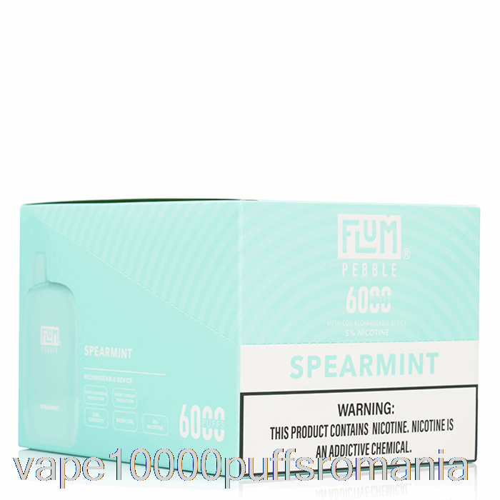 Vape Romania [10-pachet] Flum Pebble 6000 De Unica Folosinta